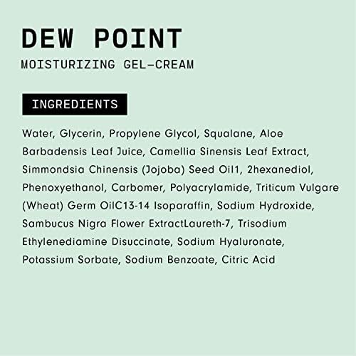 Versed Dew Point Gel Moisturizer For Face - 2 fl oz | Antioxidant-Rich Gel Cream, with Green Tea Extract + Aloe Leaf Juice